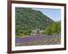 Lavender Fields and Senanque Monastery-David Sailors-Framed Photographic Print