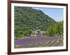 Lavender Fields and Senanque Monastery-David Sailors-Framed Photographic Print