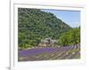 Lavender Fields and Senanque Monastery-David Sailors-Framed Photographic Print