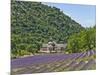 Lavender Fields and Senanque Monastery-David Sailors-Mounted Photographic Print