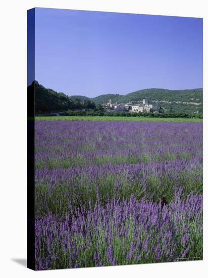 Lavender Fields and the Village of Montclus, Gard, Languedoc-Roussillon, France-Ruth Tomlinson-Stretched Canvas