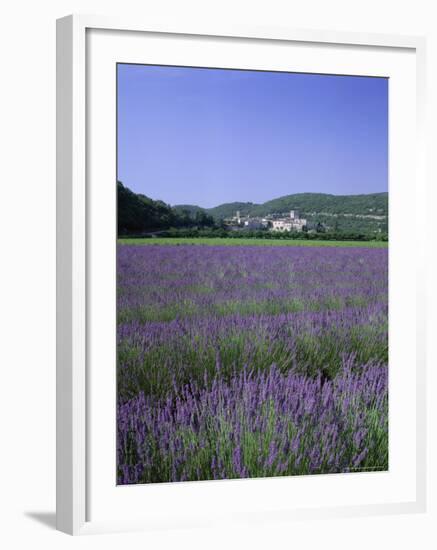 Lavender Fields and the Village of Montclus, Gard, Languedoc-Roussillon, France-Ruth Tomlinson-Framed Photographic Print