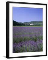 Lavender Fields and the Village of Montclus, Gard, Languedoc-Roussillon, France-Ruth Tomlinson-Framed Photographic Print