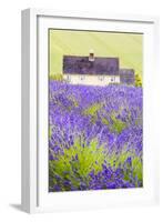 Lavender Fields, Cotswolds, Worcestershire, England, UK-Nadia Isakova-Framed Photographic Print