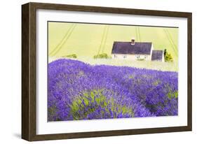 Lavender Fields, Cotswolds, Worcestershire, England, UK-Nadia Isakova-Framed Photographic Print