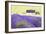 Lavender Fields, Cotswolds, Worcestershire, England, UK-Nadia Isakova-Framed Photographic Print