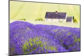 Lavender Fields, Cotswolds, Worcestershire, England, UK-Nadia Isakova-Mounted Photographic Print