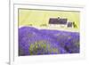 Lavender Fields, Cotswolds, Worcestershire, England, UK-Nadia Isakova-Framed Photographic Print