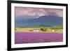 Lavender fields, Furano, Hokkaido, Japan-Christian Kober-Framed Photographic Print