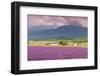 Lavender fields, Furano, Hokkaido, Japan-Christian Kober-Framed Photographic Print