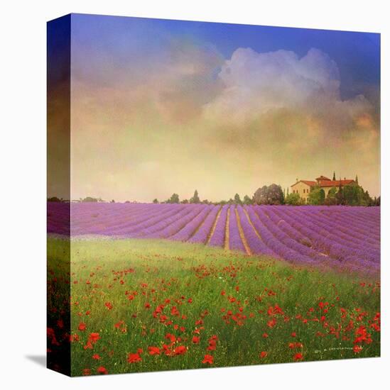 Lavender Fields I-Chris Vest-Stretched Canvas