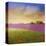 Lavender Fields I-Chris Vest-Stretched Canvas