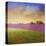 Lavender Fields I-Chris Vest-Stretched Canvas