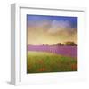 Lavender Fields I-Chris Vest-Framed Art Print