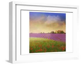 Lavender Fields I-Chris Vest-Framed Art Print