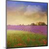 Lavender Fields I-Chris Vest-Mounted Art Print