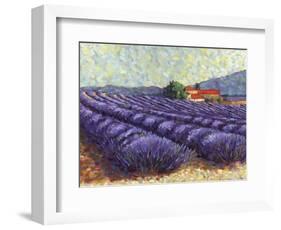 Lavender Fields II-Lorraine Westwood-Framed Art Print