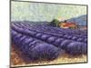 Lavender Fields II-Lorraine Westwood-Mounted Art Print