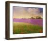 Lavender Fields II-Chris Vest-Framed Art Print