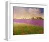 Lavender Fields II-Chris Vest-Framed Art Print