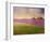 Lavender Fields II-Chris Vest-Framed Art Print