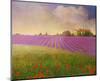 Lavender Fields II-Chris Vest-Mounted Art Print