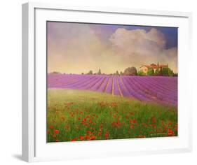 Lavender Fields II-Chris Vest-Framed Art Print