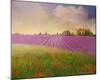 Lavender Fields II-Chris Vest-Mounted Art Print