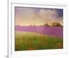 Lavender Fields II-Chris Vest-Framed Art Print