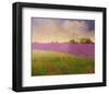 Lavender Fields II-Chris Vest-Framed Art Print