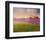 Lavender Fields II-Chris Vest-Framed Art Print