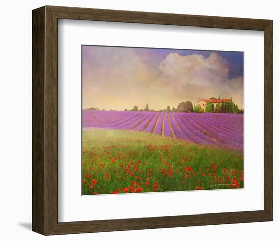 Lavender Fields II-Chris Vest-Framed Art Print