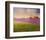 Lavender Fields II-Chris Vest-Framed Art Print