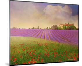 Lavender Fields II-Chris Vest-Mounted Art Print