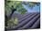 Lavender Fields in France-Owen Franken-Mounted Premium Photographic Print