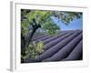 Lavender Fields in France-Owen Franken-Framed Photographic Print