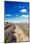 Lavender Fields in Holland-Ivonnewierink-Mounted Photographic Print