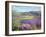 Lavender Fields in Old Provence-Timothy Easton-Framed Giclee Print