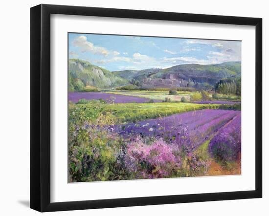 Lavender Fields in Old Provence-Timothy Easton-Framed Giclee Print