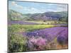 Lavender Fields in Old Provence-Timothy Easton-Mounted Giclee Print