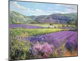 Lavender Fields in Old Provence-Timothy Easton-Mounted Giclee Print