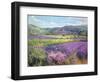 Lavender Fields in Old Provence-Timothy Easton-Framed Giclee Print