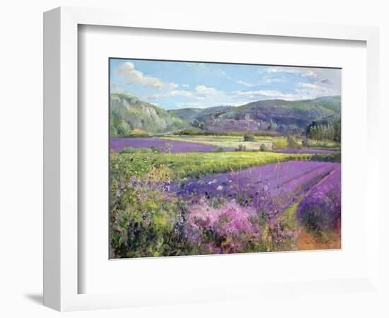 Lavender Fields in Old Provence-Timothy Easton-Framed Giclee Print