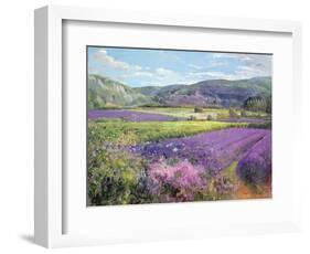 Lavender Fields in Old Provence-Timothy Easton-Framed Giclee Print