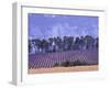 Lavender Fields in Provence-Martina Meuth-Framed Photographic Print