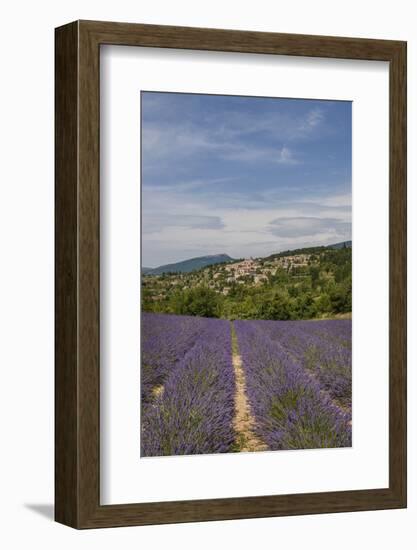 Lavender Fields near Aurel-Guido Cozzi-Framed Photographic Print