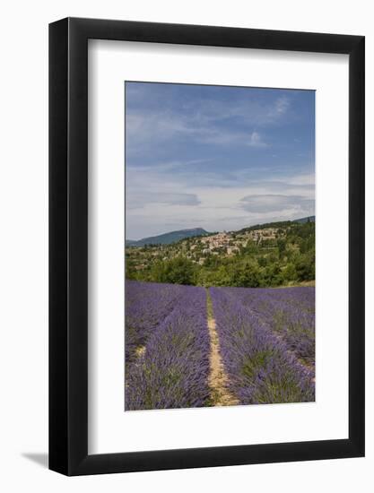 Lavender Fields near Aurel-Guido Cozzi-Framed Photographic Print