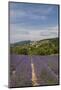 Lavender Fields near Aurel-Guido Cozzi-Mounted Photographic Print