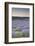 Lavender Fields Near Sault, Vaucluse, Provence, France, Europe-Julian Elliott-Framed Photographic Print