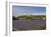 Lavender Fields near Sault-Guido Cozzi-Framed Photographic Print